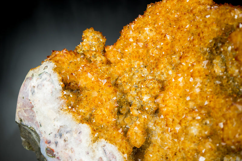 Citrine Flower Specimen with High-Grade Sparkling Golden Orange Druzy on a Rotating Stand  - 16.1 In - 14.9 Lb