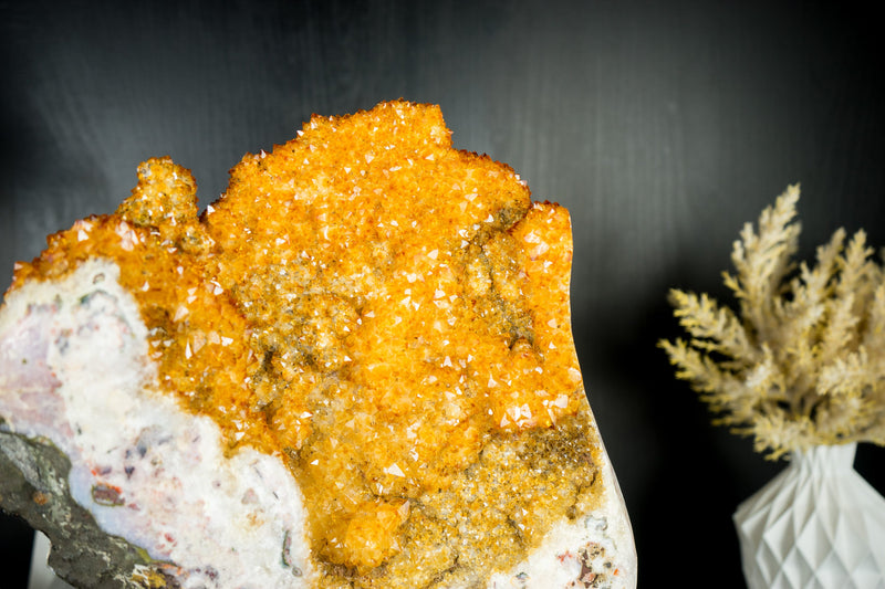 Citrin-Blütenexemplar mit hochwertigem funkelndem goldorangefarbenem Drusy auf einem drehbaren Ständer – 16,1 Zoll – 14,9 Pfund