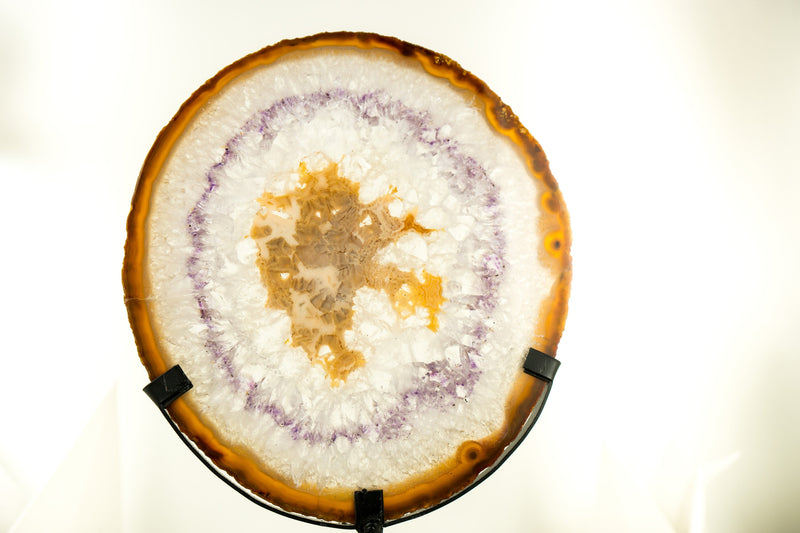 Natural Lace Agate Slice with Rare Amber Lace, Clear Crystal, Sugar Druzy, and Amethyst