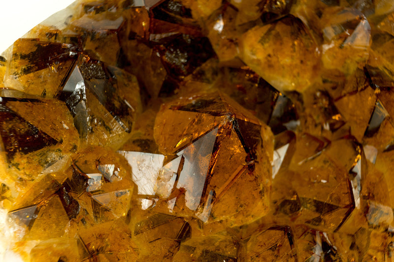 Rare Large Deep Orange Citrine Cluster with Rare Trapiche Citrine Points - AAA Large Citrine Cluster - 16.5 In, 34 lb. - E2D Crystals & Minerals