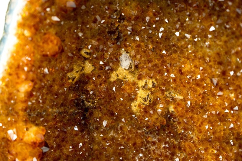 Natural Citrine Geode Cave - High-Grade Saturated Orange Druzy Crystals and Flower Rosettes - 13.5 Kg - 29.7 lb