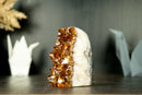 Small Natural Hgh-Grade Citrine Cluster with Sparkly Madeira Citrine Druzy - E2D Crystals & Minerals