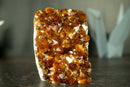 Small Natural Hgh-Grade Citrine Cluster with Sparkly Madeira Citrine Druzy - E2D Crystals & Minerals