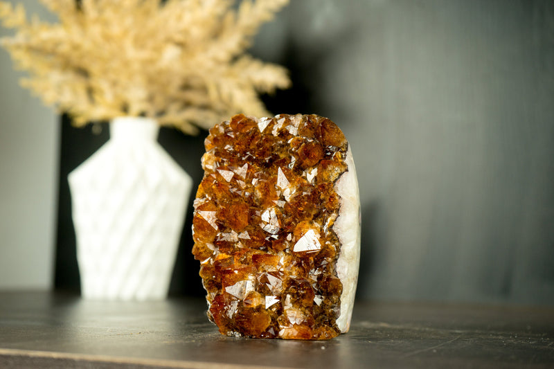 Small Natural Hgh-Grade Citrine Cluster with Sparkly Madeira Citrine Druzy - E2D Crystals & Minerals