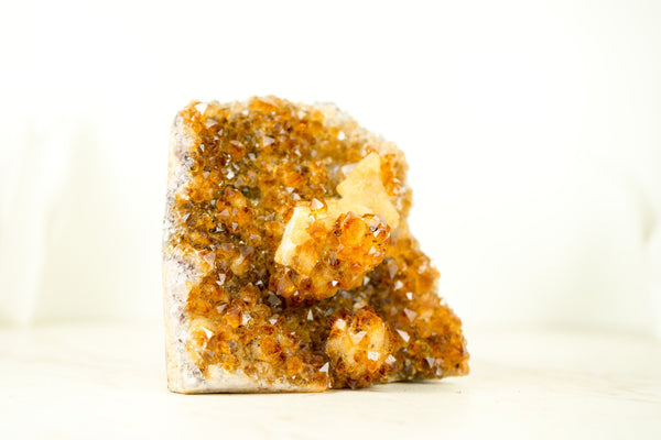 Premium Small Citrine Cluster with Stalactite Flower, High-Grade Druzy and Calcite - E2D Crystals & Minerals