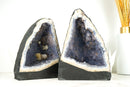 Rare Blue Lace Agate Geode with Lavender Galaxy Amethyst Druzy