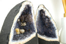 Rare Blue Lace Agate Geode with Lavender Galaxy Amethyst Druzy