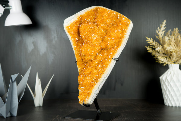 Goldener orangefarbener Galaxy-Citrin-Cluster mit glänzendem Citrin-Kristall-Drusen und Blütenrosetten – 16,5 Zoll – 13,1 Pfund