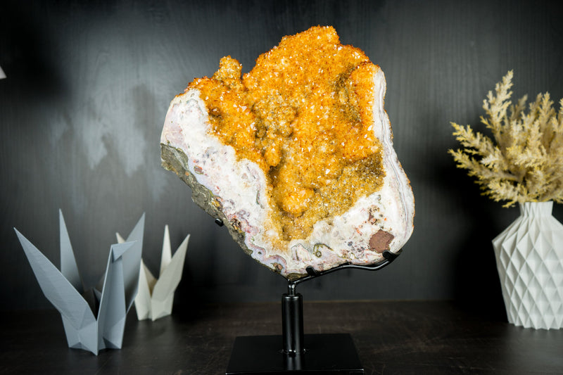 Citrin-Blütenexemplar mit hochwertigem funkelndem goldorangefarbenem Drusy auf einem drehbaren Ständer – 16,1 Zoll – 14,9 Pfund