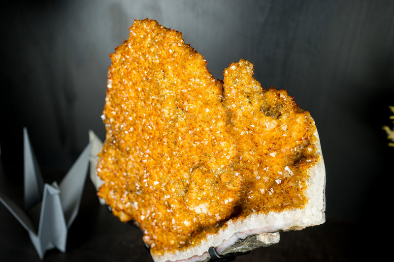 Citrin-Blütenexemplar mit hochwertigem funkelndem goldorangefarbenem Drusy auf einem drehbaren Ständer – 16,1 Zoll – 14,9 Pfund