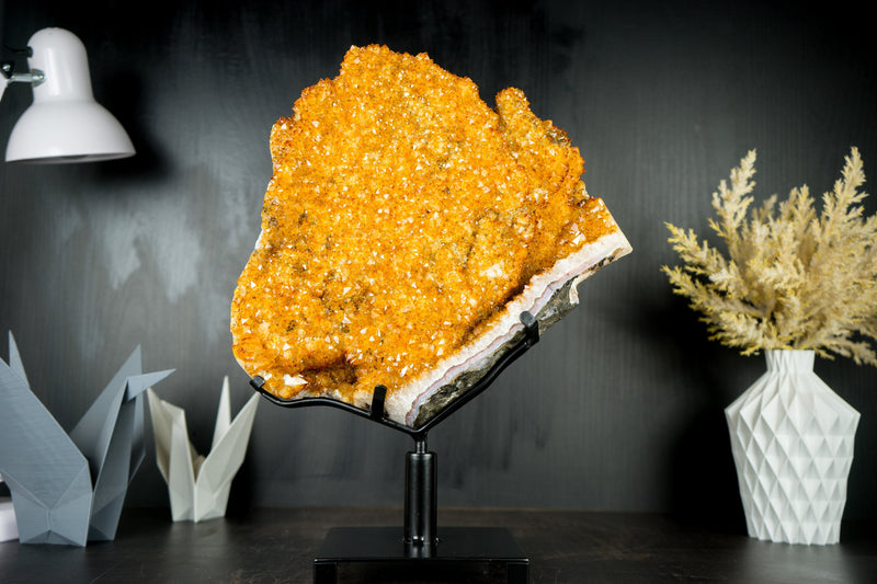 Citrin-Blütenexemplar mit hochwertigem funkelndem goldorangefarbenem Drusy auf einem drehbaren Ständer – 16,1 Zoll – 14,9 Pfund