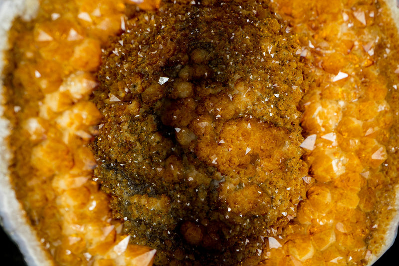 Citrin-Geode mit einer seltenen Citrin-Krone und Stalaktit-Blüten - Eine Citrin-Geode in Galeriequalität, Statement-Citrin, 13,5 kg - 29,8 lb