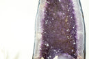 Large Amethyst Geode Cathedral with Shiny, Saturated Lavender Purple Amethyst and Polished Blue Agate Back