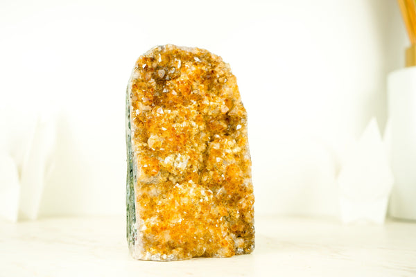 Premium Cut-Base Citrine Cluster with Sparkly Druzy - E2D Crystals & Minerals