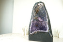 Natürliche Amethyst-Geode mit blauer Galaxie-Amethyst- und Spitzenachat-Matrix