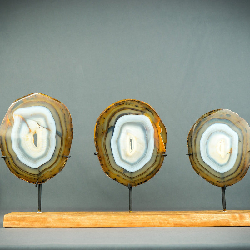 Trio aus seltenen blauen und bernsteinfarbenen Achatscheiben auf Holzsockel, natürliche dekorative Kunst