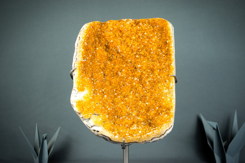 Wunderschöner Imponent Orange Citrin Cluster mit funkelndem Galaxy Citrin Druzy auf Ständer