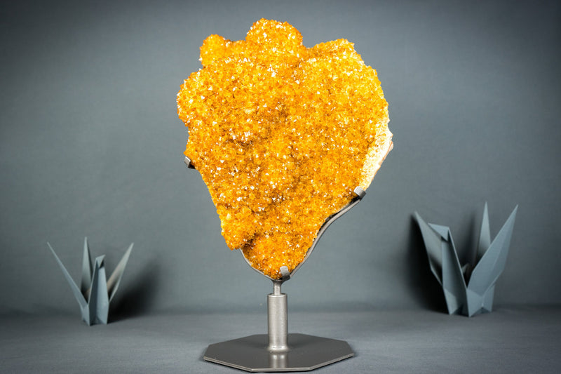 Rare Golden Orange Citrine Flower Cluster with Sparkly Galaxy Citrine Druzy, Cabinet-Grade Specimen