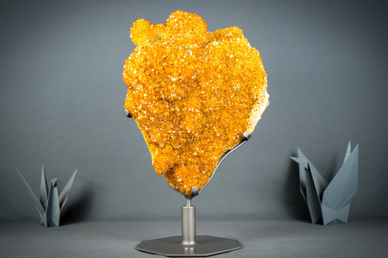 Rare Golden Orange Citrine Flower Cluster with Sparkly Galaxy Citrine Druzy, Cabinet-Grade Specimen