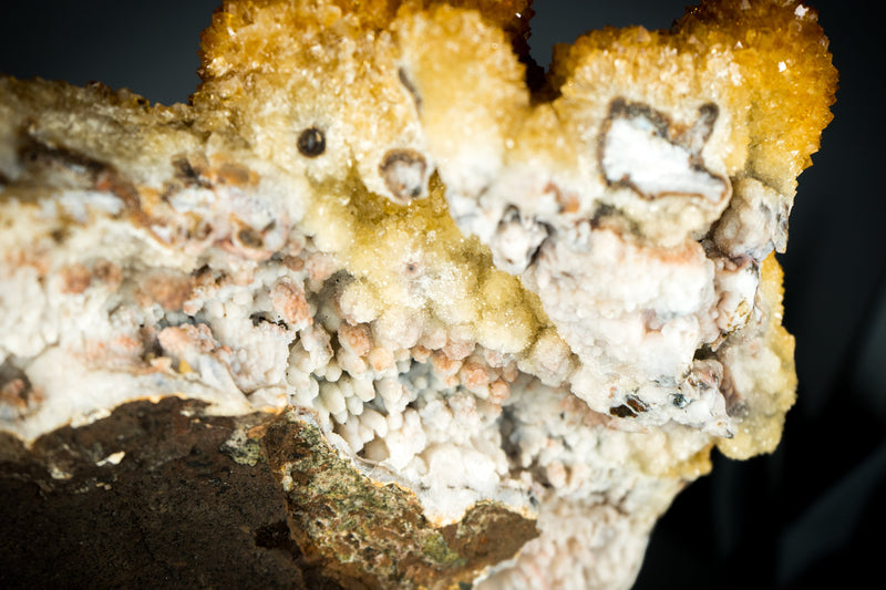 Rare Golden Orange Citrine Flower Cluster with Sparkly Galaxy Citrine Druzy, Cabinet-Grade Specimen