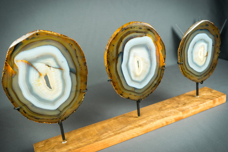 Trio aus seltenen blauen und bernsteinfarbenen Achatscheiben auf Holzsockel, natürliche dekorative Kunst