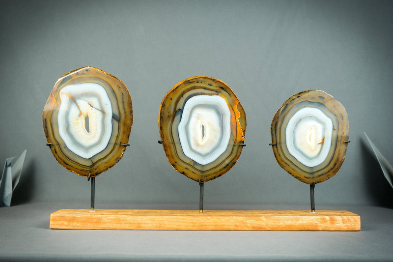 Trio aus seltenen blauen und bernsteinfarbenen Achatscheiben auf Holzsockel, natürliche dekorative Kunst