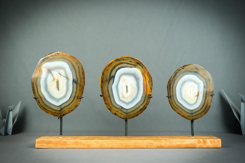 Trio aus seltenen blauen und bernsteinfarbenen Achatscheiben auf Holzsockel, natürliche dekorative Kunst