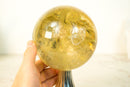 AAA Natural Citrine Hand Carved Sphere, Genuine Real Golden Honey Citrine, 5 In. 6 Lb.