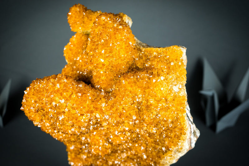Rare Golden Orange Citrine Flower Cluster with Sparkly Galaxy Citrine Druzy, Cabinet-Grade Specimen
