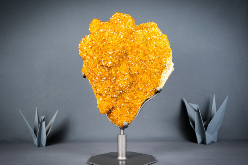 Rare Golden Orange Citrine Flower Cluster with Sparkly Galaxy Citrine Druzy, Cabinet-Grade Specimen