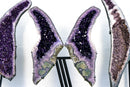 Superb X - Large Grape Jelly Purple Amethyst Geode Wings: A Collection - Grade Amethyst of Super Extra, AAA Grade - 5.9 Ft. Tall, 350 Lb. - E2D Crystals & Minerals