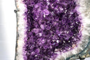 Extra Large Amethyst Butterfly Wings Geode with High - Grade Purple Amethyst Crystal - 450 Lb, 5.6 Ft Tall - E2D Crystals & Minerals