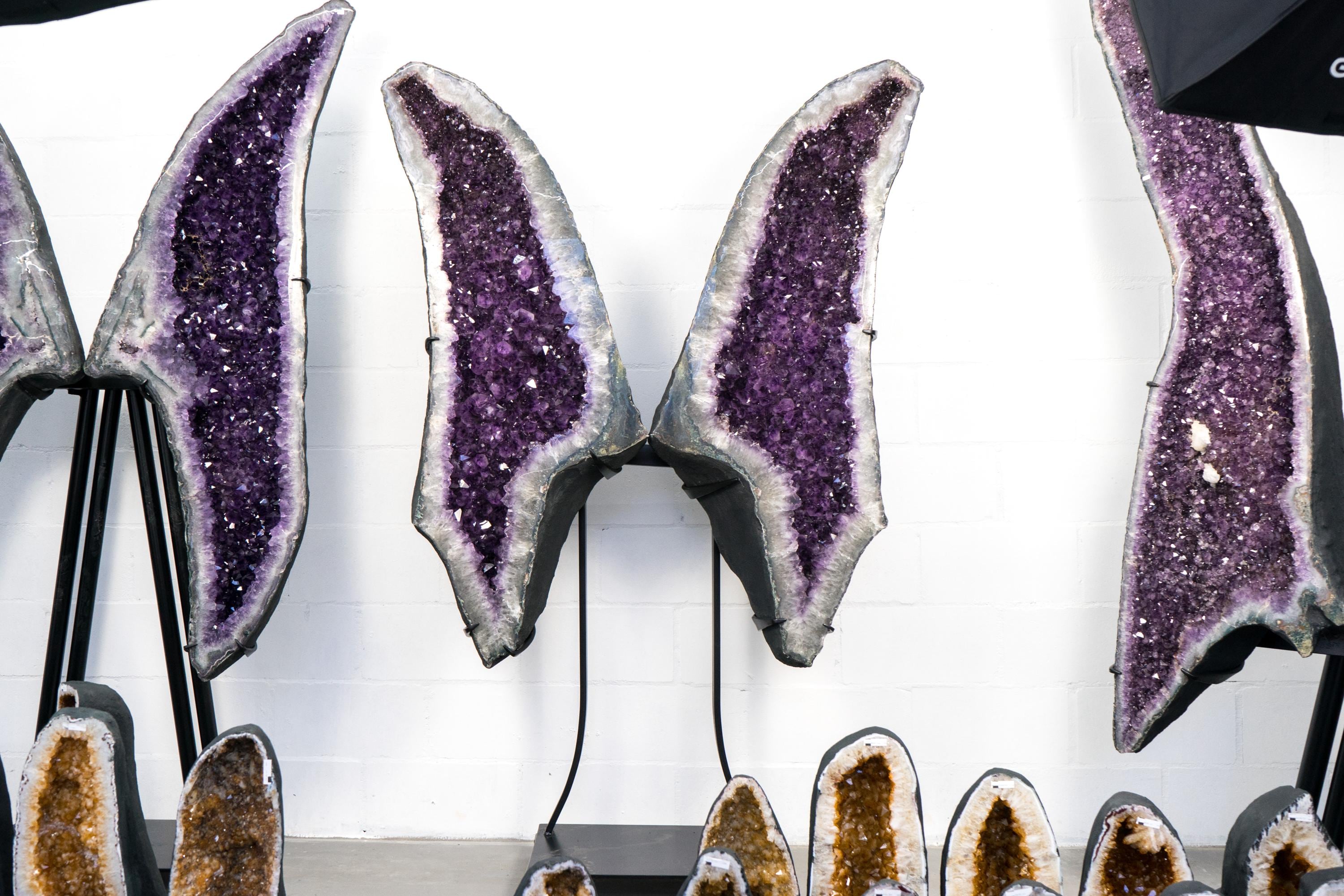 X-Large Amethyst Butterfly Wings Geode with Sparkly Deep Purple Amethy