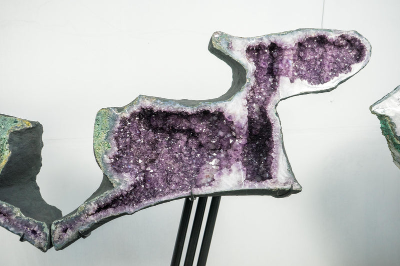 Skulpturale Capybara-förmige Geoden, großes, natürliches Amethyst-Geodenpaar