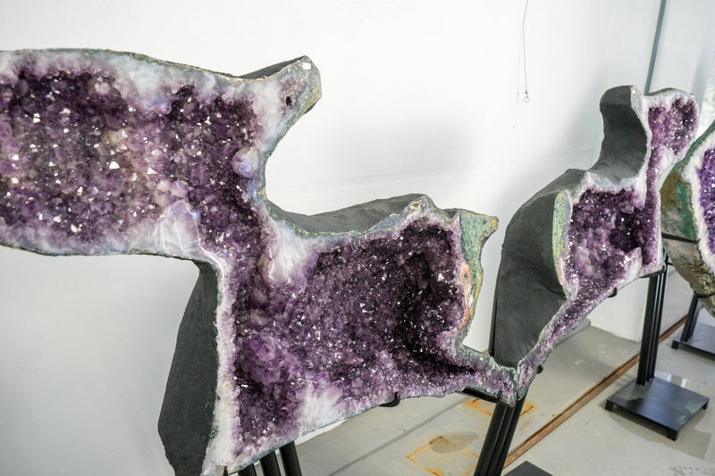 Skulpturale Capybara-förmige Geoden, großes, natürliches Amethyst-Geodenpaar