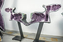 Sculptural Capybara-Shaped Geodes, Large, Natural Amethyst Geode Pair