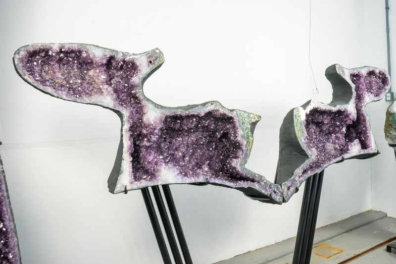 Skulpturale Capybara-förmige Geoden, großes, natürliches Amethyst-Geodenpaar