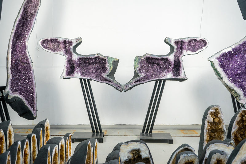 Skulpturale Capybara-förmige Geoden, großes, natürliches Amethyst-Geodenpaar
