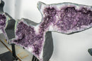 Sculptural Capybara-Shaped Geodes, Large, Natural Amethyst Geode Pair