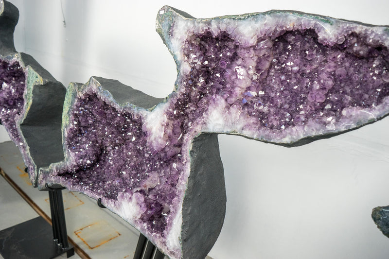 Skulpturale Capybara-förmige Geoden, großes, natürliches Amethyst-Geodenpaar