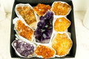 Wholesale Mixed Amethyst & Citrine Crystals, AAA - Grade Only - E2D Crystals & Minerals