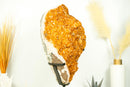 Statement Citrine Cluster Featuring Golden - Orange Druzy and Calcite after Galaxy Citrine Druzy – Collector's Grade, X - Large - 56 Lb. - E2D Crystals & Minerals