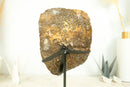 Orange Citrine Cluster with High - Grade, Sparkly Golden Orange Citrine Druzy on Stand - 13.2 In - 8.3 Lb - E2D Crystals & Minerals