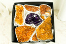 Wholesale Mixed Citrine & Citrine Amethyst Crystals, High - Grade Only - E2D Crystals & Minerals