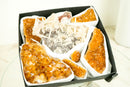 Wholesale Mixed Rare Citrine Crystal Clusters and a Pseudomorph Amethyst - E2D Crystals & Minerals