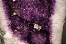 Large Pair of Lavender Amethyst Geode Cathedrals with Sparkly Large Druzy and Clear Crystal Frame - E2D Crystals & Minerals