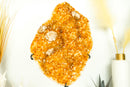 Citrine Cluster with Rare Flower Stalactite, AAA Golden Yellow Citrine Color and Calcite - E2D Crystals & Minerals