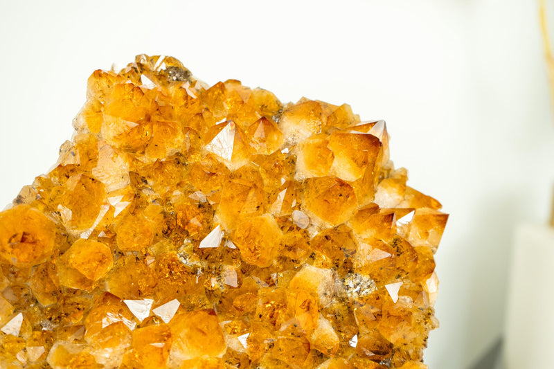 Goldener oranger Citrin-Cluster mit individuellem Ausstellungsständer, AAA-Qualität
