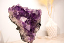 AAA - Grade Purple Amethyst Cluster with Large Deep Purple Points - E2D Crystals & Minerals
