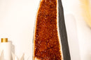 Rare AAA - Grade Madeira Citrine Geode Cathedral: Super - Grade for Collection, Decor & Energy Work, 24 - Inch 66 Lb. - E2D Crystals & Minerals